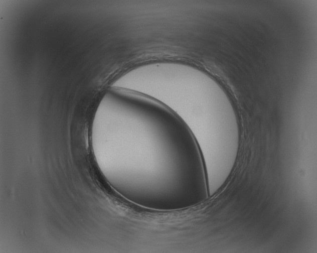 X0000052970021200507080934
