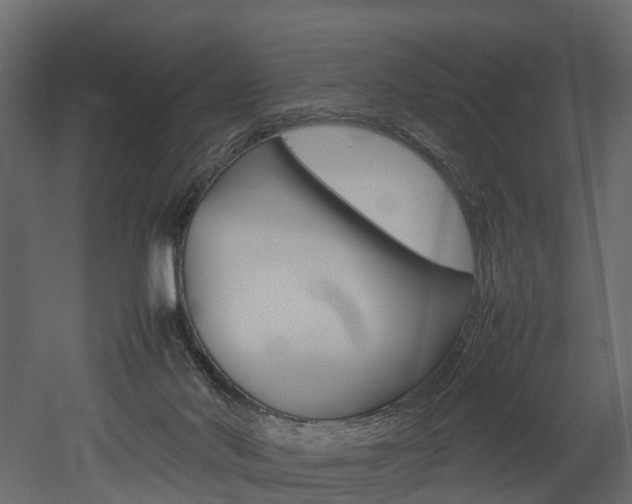 X0000052970022200507080933