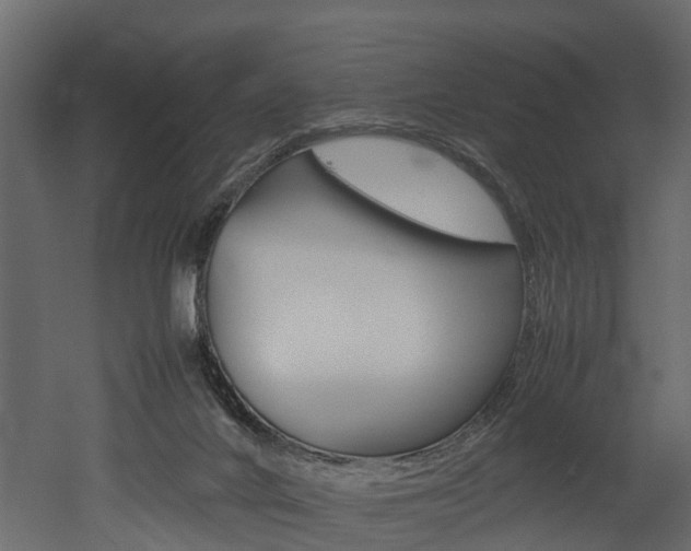 X0000052970024200507080933