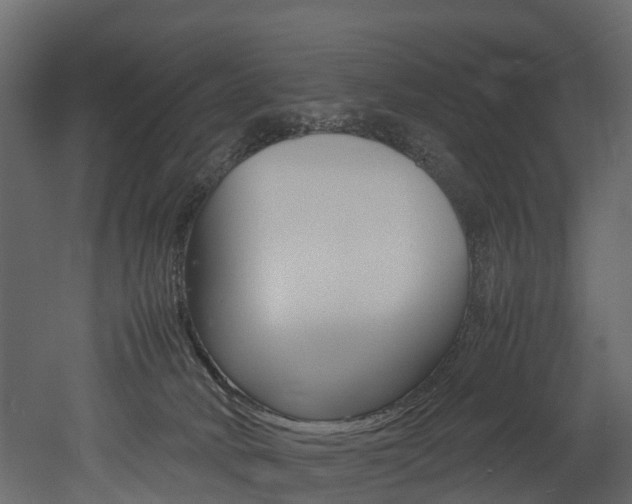 X0000052970034200507080933