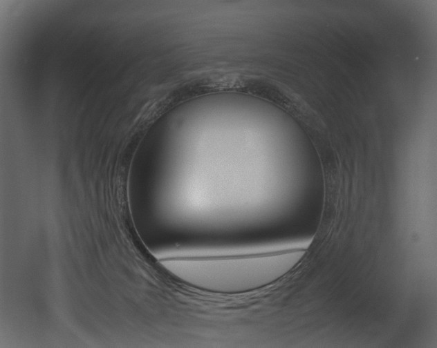 X0000052970035200507080933