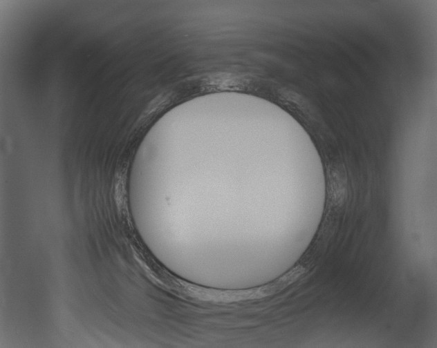 X0000052970036200507080933