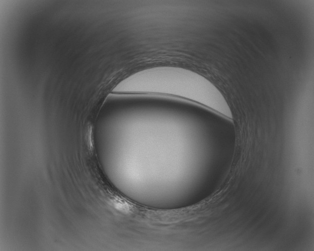 X0000052970041200507080933