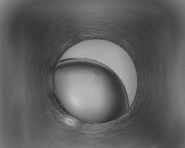X0000052970045200507080933