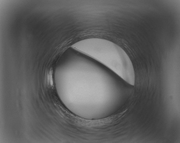 X0000052970046200507080933