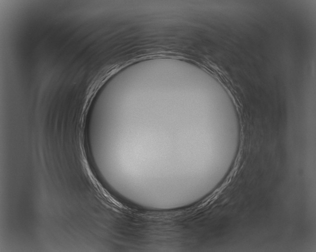 X0000052970049200507080932
