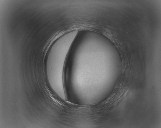 X0000052970050200507080932