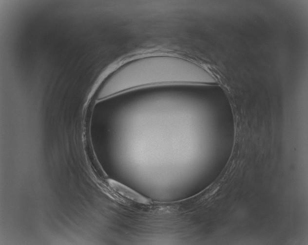 X0000052970056200507080932