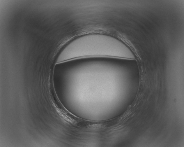 X0000052970058200507080932