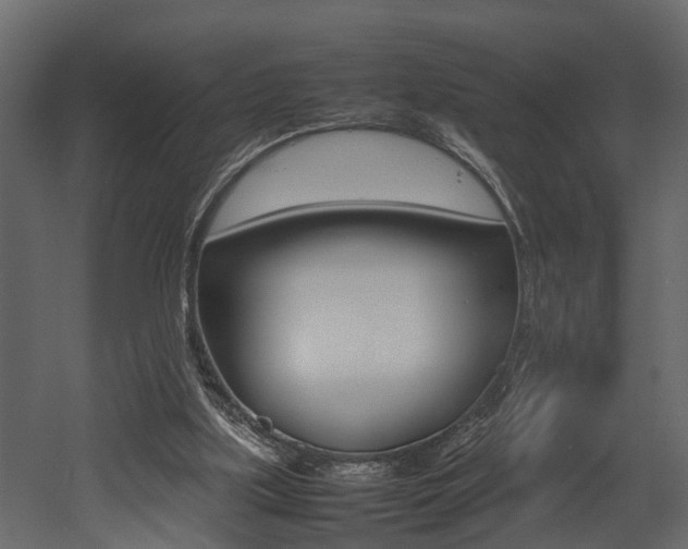 X0000052970059200507080932