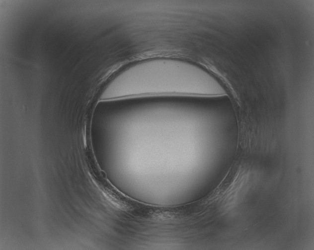 X0000052970062200507080932