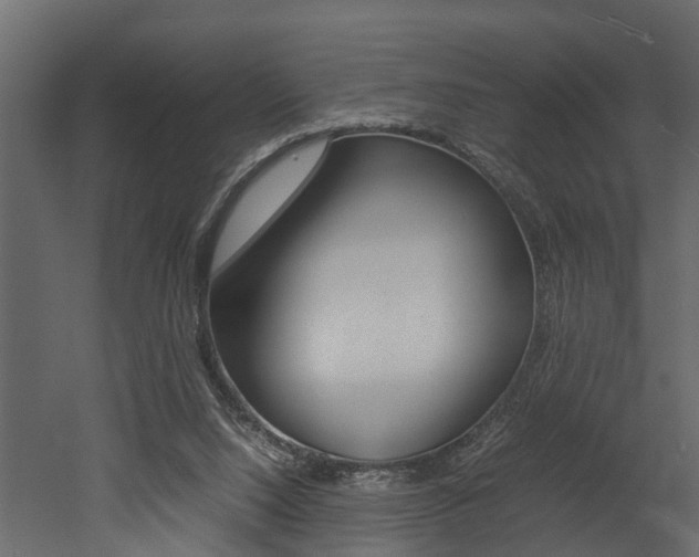 X0000052970064200507080932
