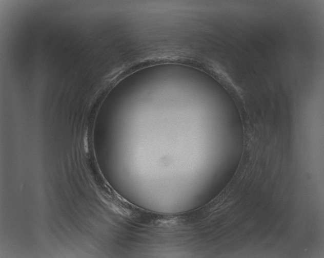 X0000052970068200507080933