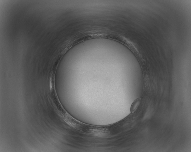 X0000052970069200507080933
