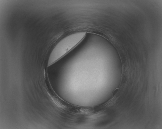 X0000052970070200507080933