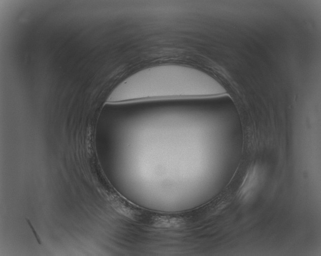 X0000052970073200507080933