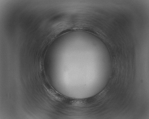 X0000052970074200507080933
