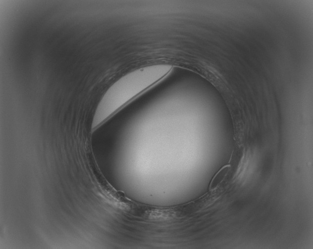 X0000052970077200507080933