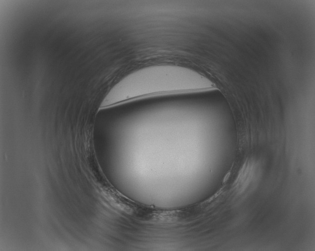 X0000052970078200507080933