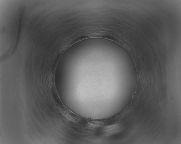 X0000052970079200507080933