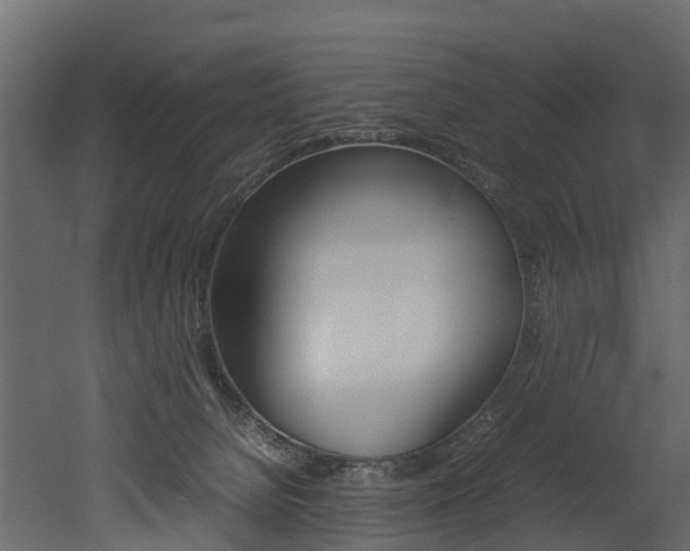 X0000052970080200507080933