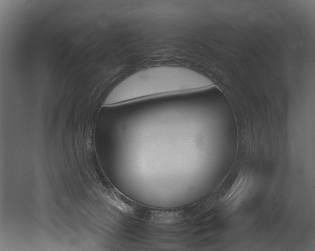 X0000052970081200507080933