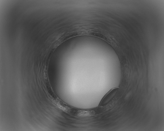 X0000052970083200507080933