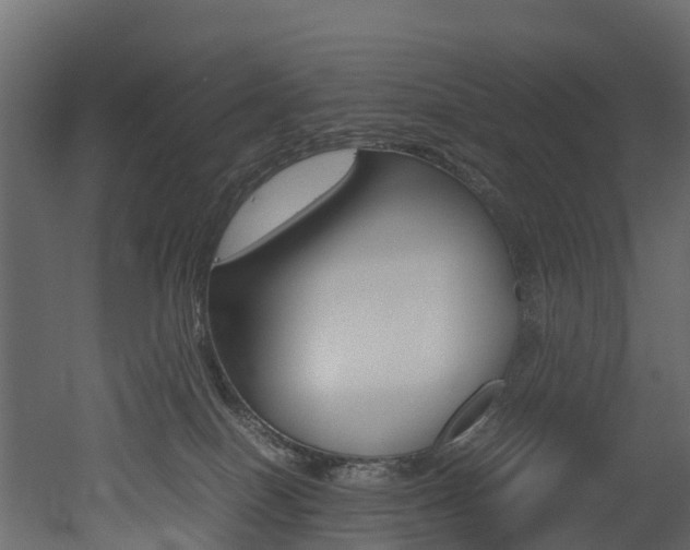 X0000052970086200507080933