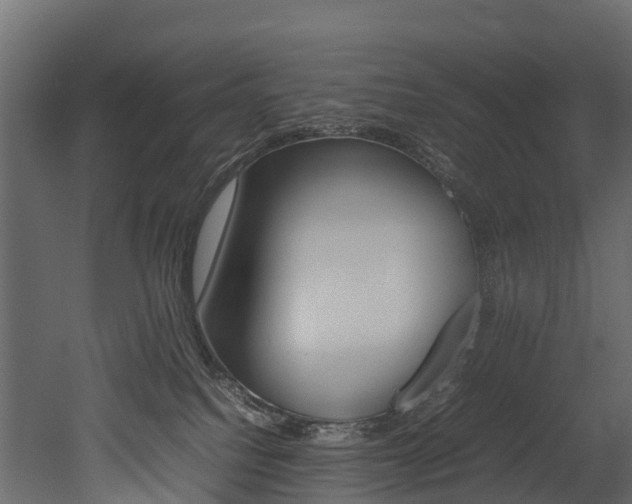 X0000052970088200507080933