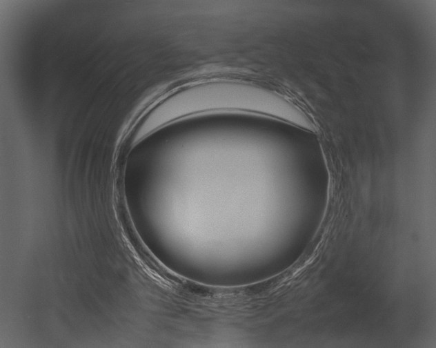 X0000052970101200507080932