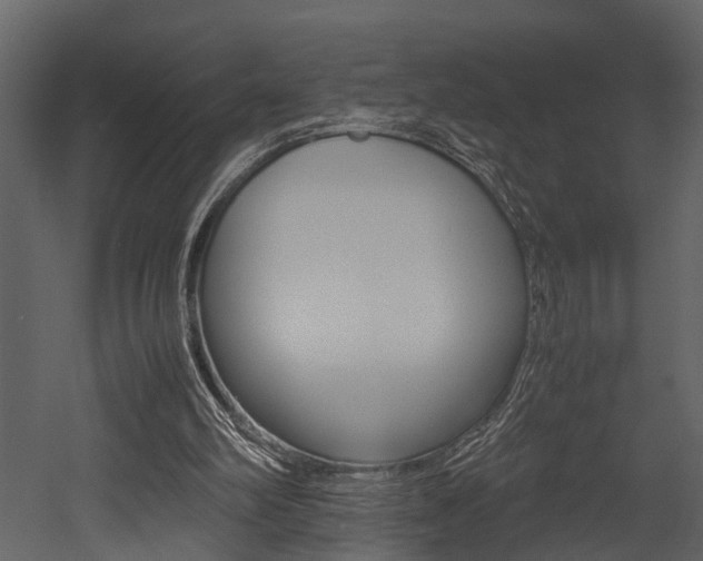 X0000052970102200507080932