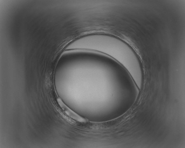X0000052970105200507080932