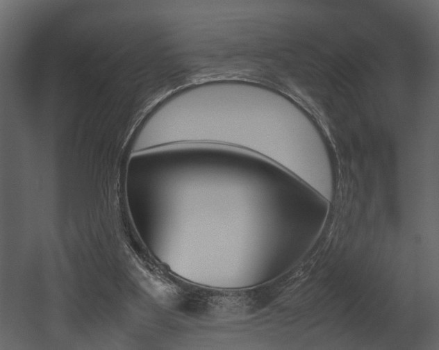 X0000052970107200507080932