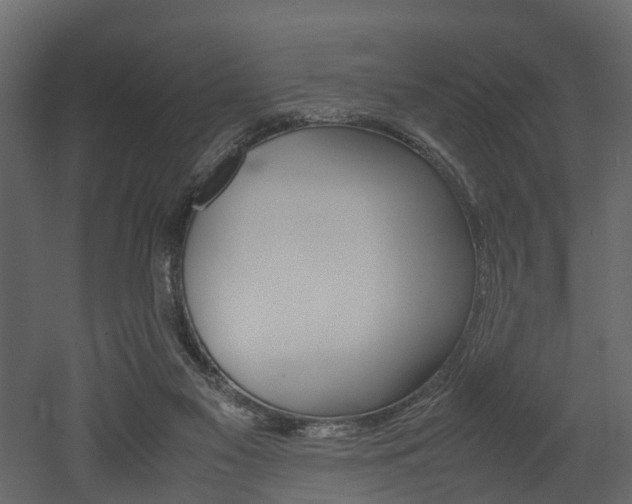 X0000052970117200507080932