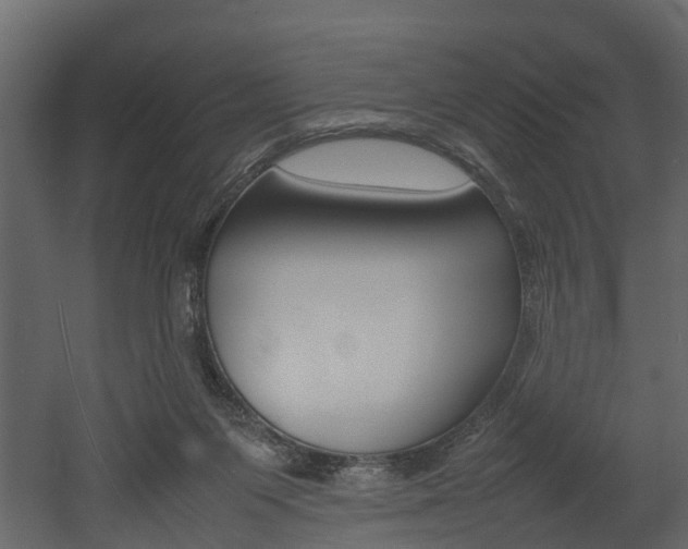 X0000052970119200507080932