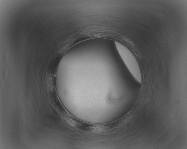 X0000052970121200507080932