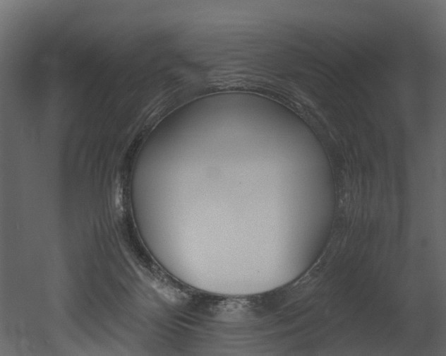 X0000052970124200507080932