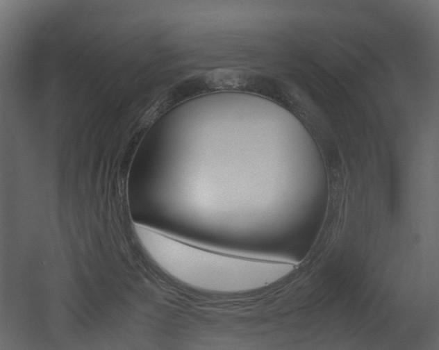 X0000052970125200507080932