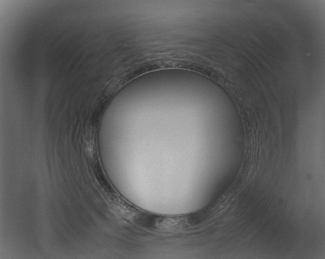 X0000052970129200507080932