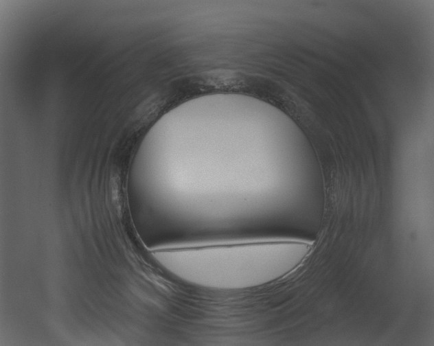 X0000052970132200507080932
