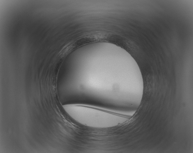 X0000052970140200507080931