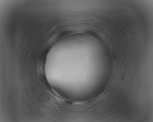 X0000052970141200507080931