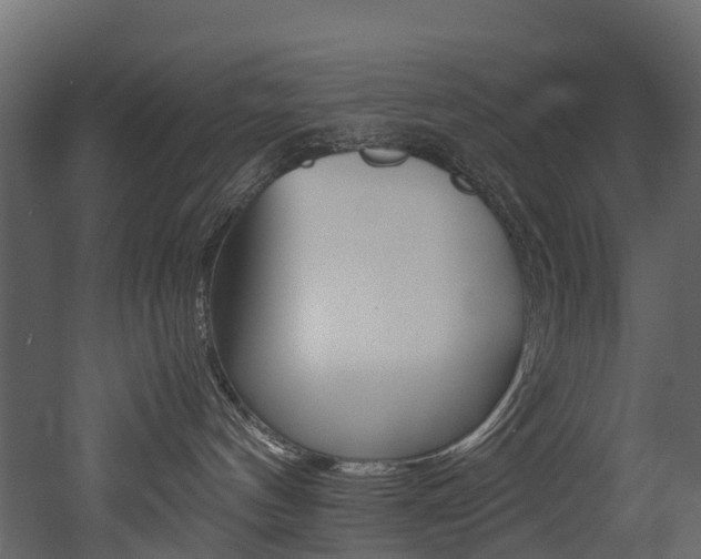 X0000052970144200507080931