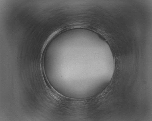 X0000052970147200507080931
