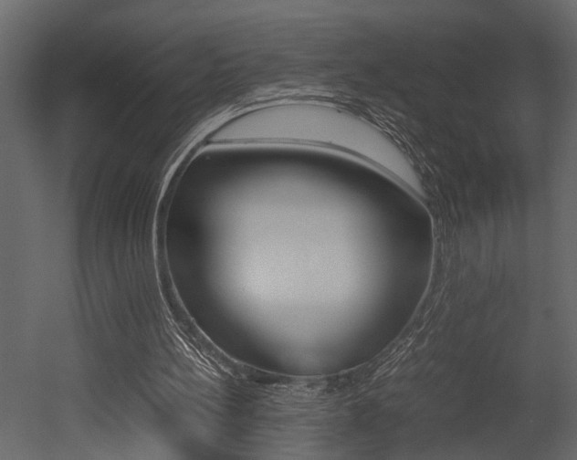 X0000052970148200507080931