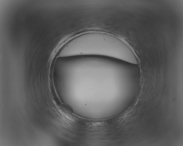 X0000052970151200507080931