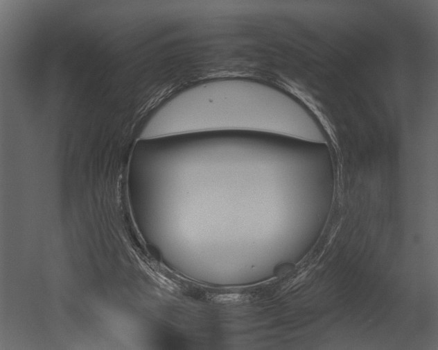 X0000052970153200507080931