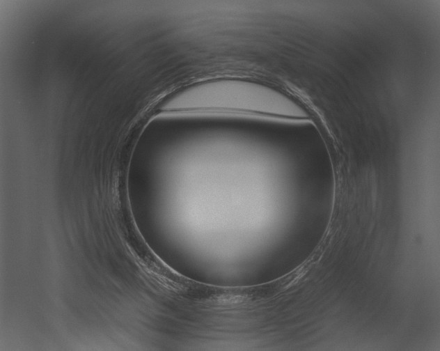 X0000052970154200507080931