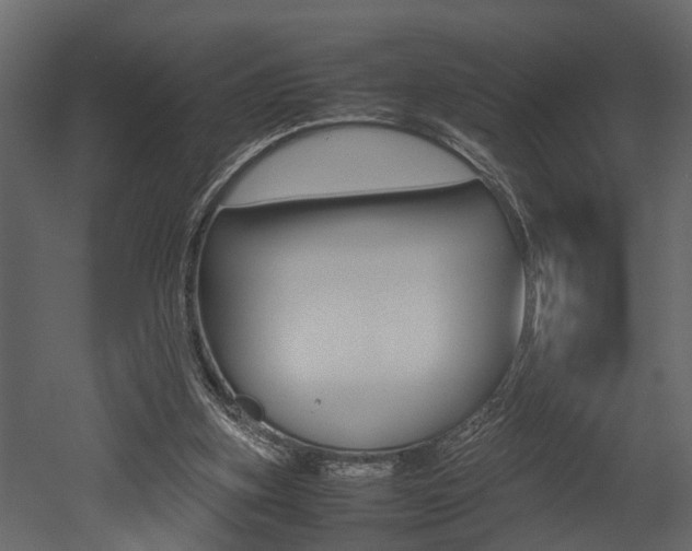 X0000052970155200507080931