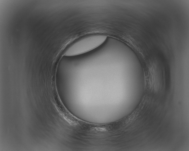 X0000052970159200507080931